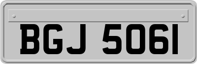 BGJ5061
