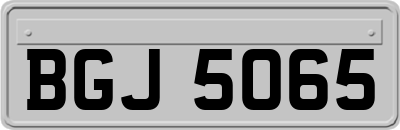 BGJ5065