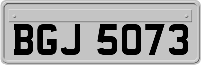 BGJ5073
