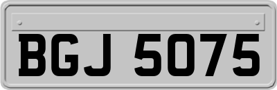 BGJ5075