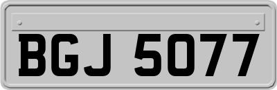 BGJ5077