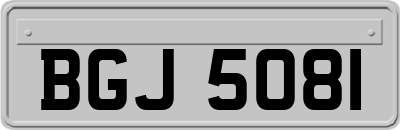 BGJ5081