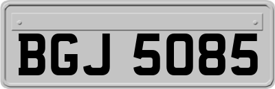 BGJ5085