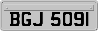 BGJ5091