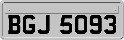 BGJ5093