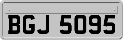 BGJ5095