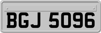 BGJ5096