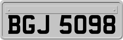 BGJ5098