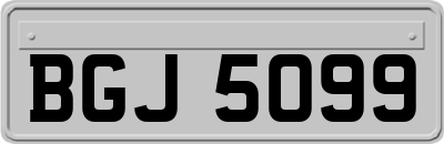 BGJ5099