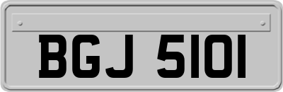 BGJ5101