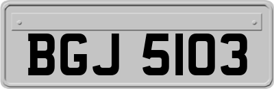 BGJ5103