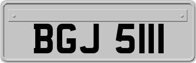 BGJ5111
