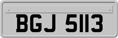 BGJ5113
