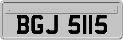 BGJ5115