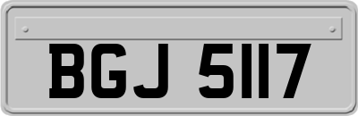 BGJ5117