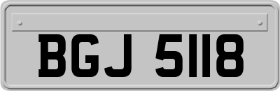 BGJ5118