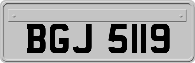 BGJ5119