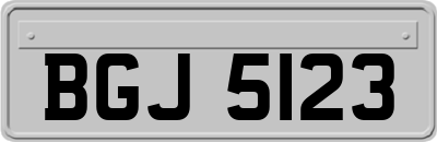 BGJ5123