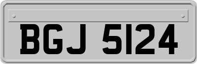 BGJ5124