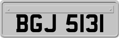 BGJ5131