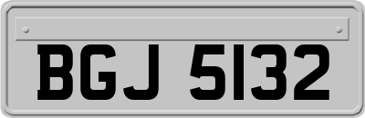 BGJ5132