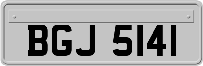 BGJ5141