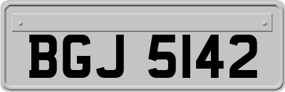 BGJ5142