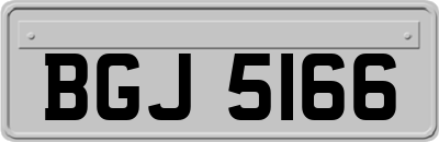 BGJ5166