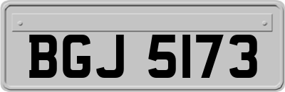 BGJ5173