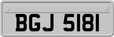 BGJ5181