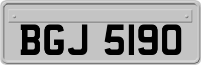 BGJ5190