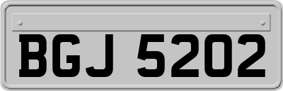 BGJ5202