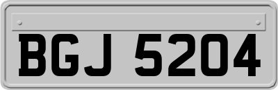 BGJ5204