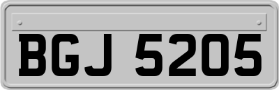 BGJ5205