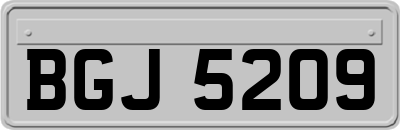 BGJ5209