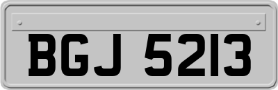 BGJ5213