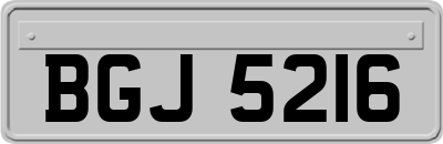 BGJ5216