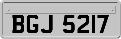 BGJ5217