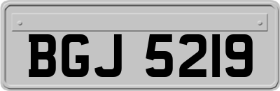 BGJ5219