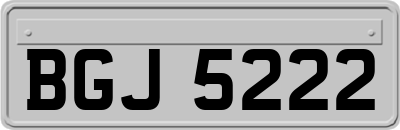 BGJ5222