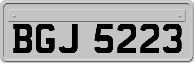 BGJ5223