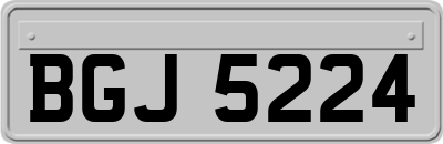 BGJ5224
