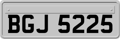 BGJ5225