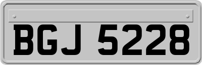 BGJ5228