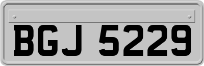 BGJ5229