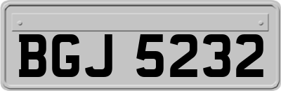 BGJ5232