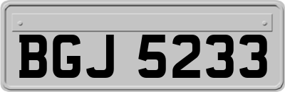 BGJ5233