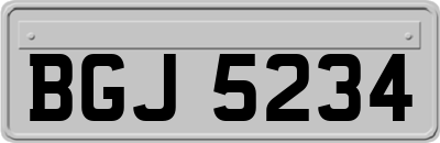 BGJ5234