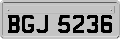 BGJ5236