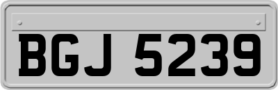 BGJ5239